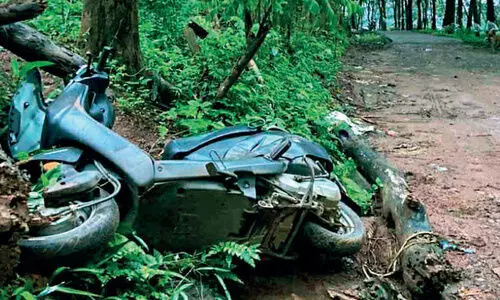 നാ​ട്ടി​ലി​റ​ങ്ങി​യ കാ​ട്ടാ​ന സ്കൂ​ട്ട​ർ ത​ക​ർ​ത്തു