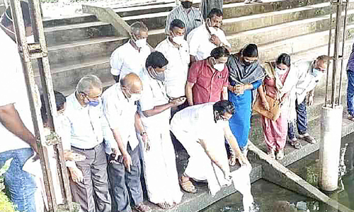 കാക്കാഴം മുസ്​ലിം ജമാഅത്ത് കുളത്തിൽ മത്സ്യകൃഷിക്ക് തുടക്കം