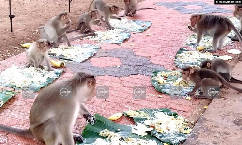 ക​ല​ഹിച്ചും കൈ​യി​ട്ടു​വാ​രി​യും അ​വ​ർ ഓണസ​ദ്യ ഉ​ണ്ടു