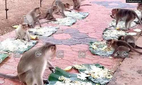 ക​ല​ഹിച്ചും കൈ​യി​ട്ടു​വാ​രി​യും അ​വ​ർ ഓണസ​ദ്യ ഉ​ണ്ടു