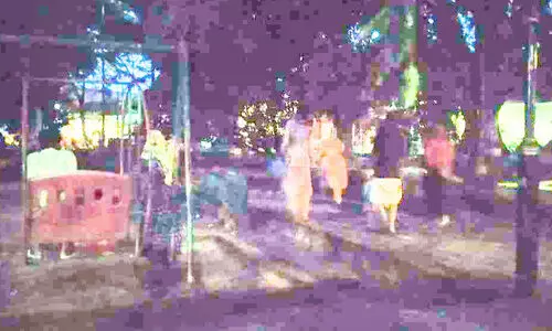 ഫോർട്ട്​കൊച്ചി കുട്ടികളുടെ പാർക്കിൽ പാമ്പുശല്യം രൂക്ഷം