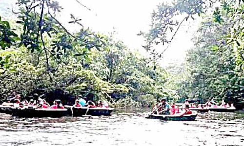 അടവിയിലും ആങ്ങമൂഴിയിലും ​െകാട്ടവഞ്ചി സവാരി പുനരാരംഭിച്ചു