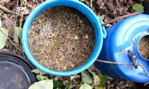 വാ​ഷും വാ​റ്റു​പ​ക​ര​ണ​ങ്ങ​ളും പി​ടി​ച്ചെ​ടു​ത്തു