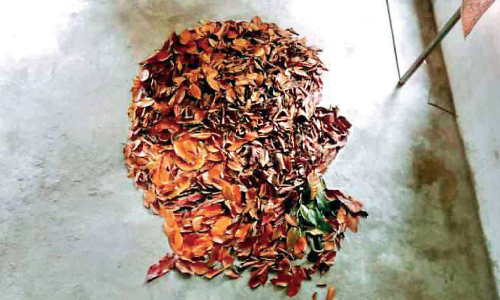 gandhi artist santhosh