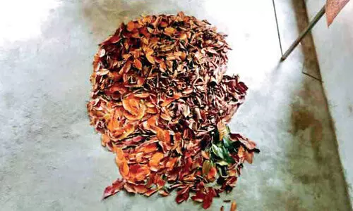 gandhi artist santhosh