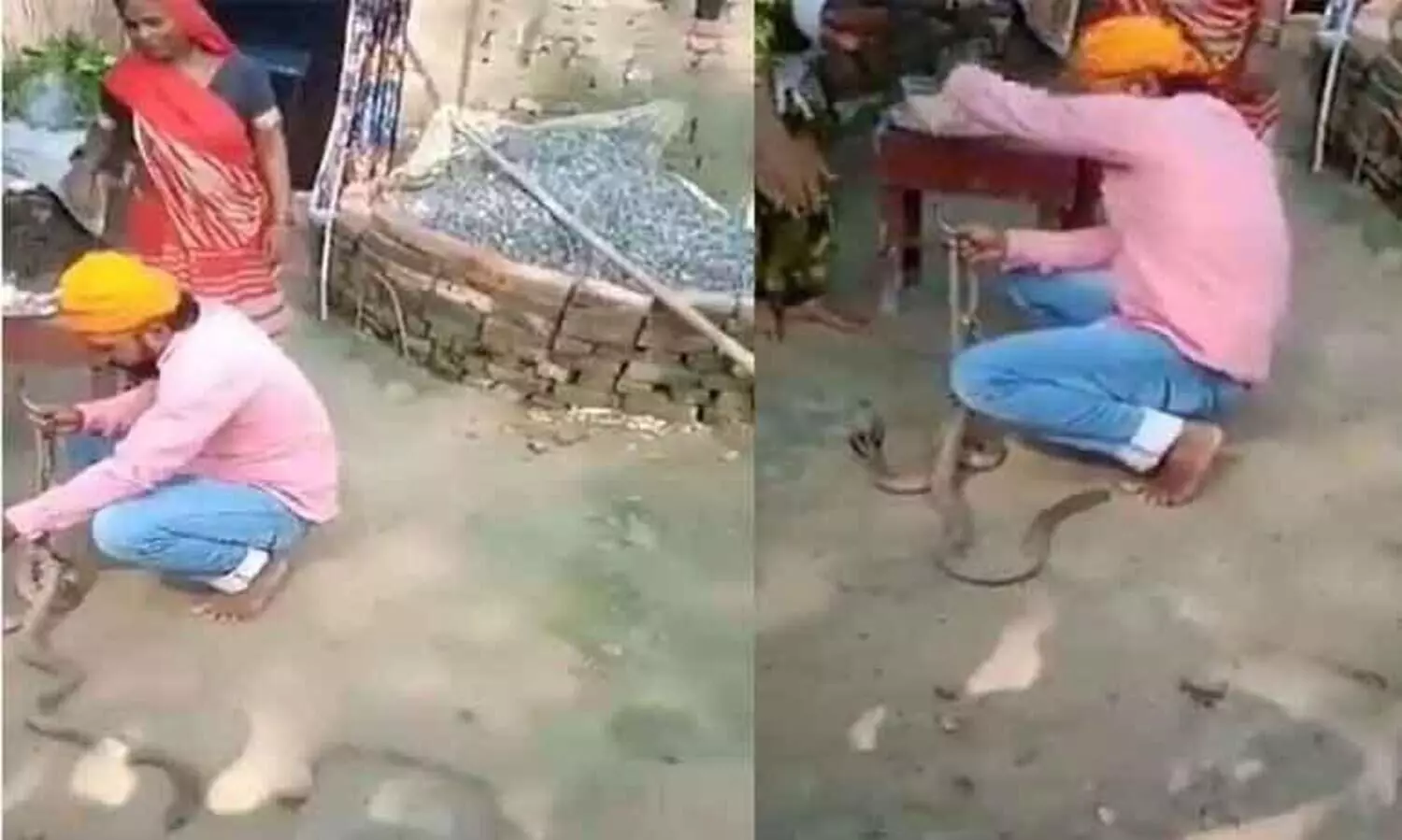 പാമ്പിന് രാഖി കെട്ടാൻ ശ്രമിക്കുന്നതിനിടെ പാമ്പുകടിയേററ് മരണം, വിഡിയോ പുറത്ത്