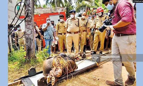യു​വാ​വി​നെ കൊ​ല​പ്പെ​ടു​ത്തി ചാക്കിൽ കെട്ടി​യ കേസ്​: മുഖ്യപ്രതി റിമാൻഡിൽ