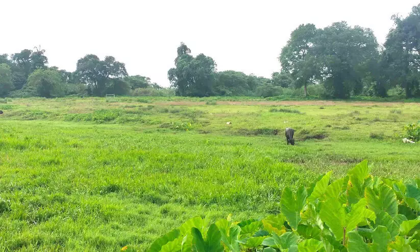 life mission life mission