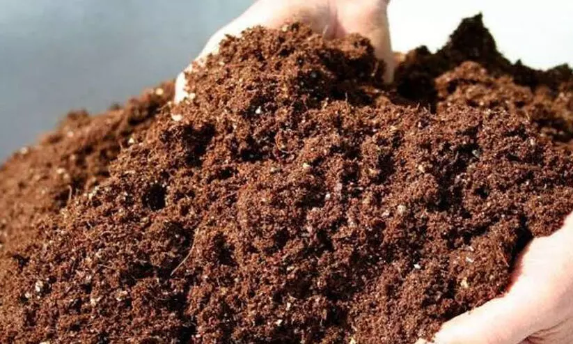 നിസ്സാരക്കാരനല്ല ചകിരിച്ചോർ; 1919 കോടിരൂപയാണ് കയറ്റുമതിയിലൂടെ സംസ്ഥാനം നേടിയത് നിസ്സാരക്കാരനല്ല ചകിരിച്ചോർ; 1919 കോടിരൂപയാണ് കയറ്റുമതിയിലൂടെ സംസ്ഥാനം നേടിയത്