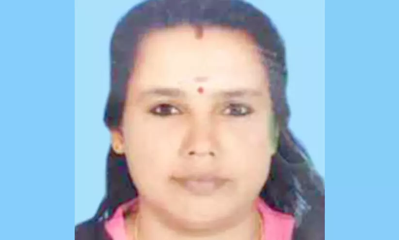 shini 25521 shini 25521