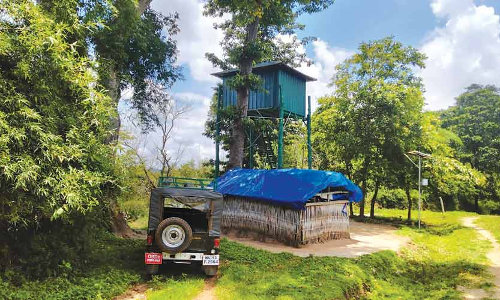 പ്രധാനമന്ത്രിയുടെ ഓഫിസ് ഉദ്യോഗസ്ഥരെന്ന് പരിചയപ്പെടുത്തി വ​നം​വ​കു​പ്പ് ഉ​ദ്യോ​ഗ​സ്​​ഥ​രെ കബളിപ്പിച്ചു