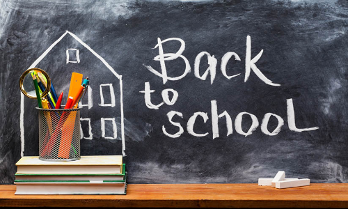 പ്രീ പ്രൈമറി സ്​കൂൾ നയം: റിപ്പോർട്ട്​ നൽകാൻ പൊതു വിദ്യാഭ്യാസ ഡയറക്​ടറെ ചുമതലപ്പെടുത്തി