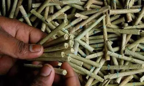 1.67ലക്ഷത്തി​െൻറ വ്യാജ ബീഡി; യുവാവ് അറസ്​റ്റിൽ