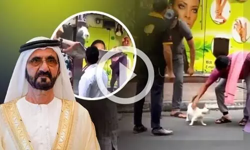 കെട്ടിടത്തിൽ കുടുങ്ങിയ ​ഗർഭിണിയായ പൂച്ചക്ക്​ രക്ഷയൊരുക്കി പ്രവാസികൾ; അഭിനന്ദിച്ച്​ ദുബൈ ഭരണാധികാരി