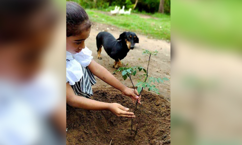 എം.എൽ.​എയുടെ പരിസ്​ഥിതി ദിന ഫോ​ട്ടോ മത്സരത്തിൽ പ​ങ്കെടുത്തത്​ 7000​ കുട്ടികൾ; ഒന്നാമതെത്തിയത്​ മൂന്നാം ക്ലാസുകാരി