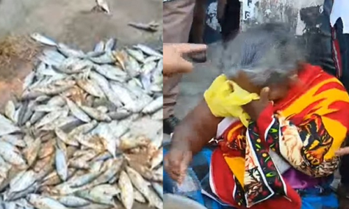 മീ​ന്‍ ത​ട്ടി​ത്തെ​റി​പ്പി​ച്ച​ത് പൊ​ലീ​സ് ത​ന്നെ​യെ​ന്ന് പ​രാ​തി​ക്കാ​രി