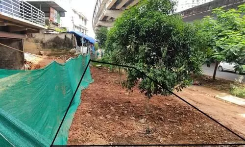 ആലുവ മാർക്കറ്റ് പരിസരത്തെ നഗരസഭ ഭൂമി കൈയ്യേറാൻ വീണ്ടും നീക്കം