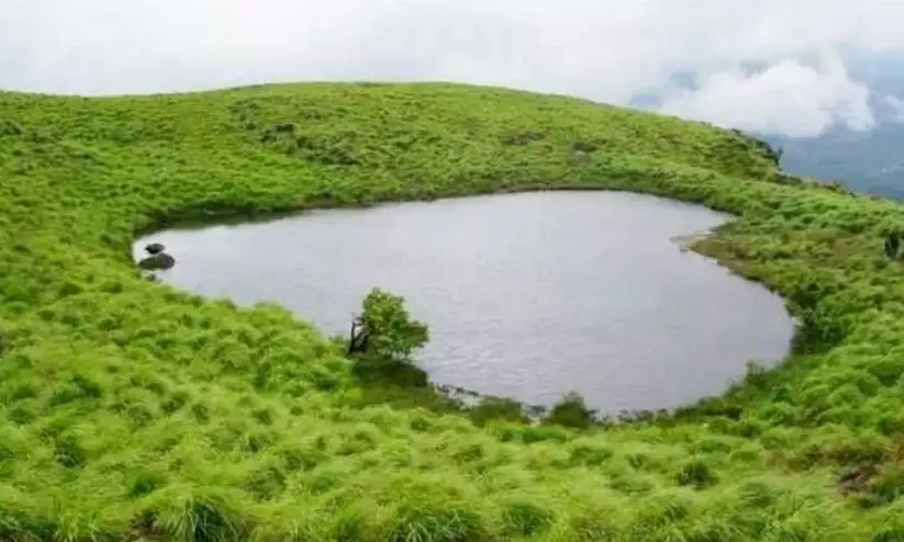 ടൂറിസം മന്ത്രിയും വയനാട് കലക്ടറും അറിയാൻ...ഇവിടെ കുറേ മനുഷ്യർ ജീവിക്കുന്നുണ്ട് ടൂറിസം മന്ത്രിയും വയനാട് കലക്ടറും അറിയാൻ...ഇവിടെ കുറേ മനുഷ്യർ ജീവിക്കുന്നുണ്ട്