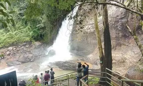 സൂ​ചി​പ്പാ​റ തു​റ​ന്നു; ആ​ദ്യ​ദി​നം സ​ഞ്ചാ​രി​ക​ൾ കു​റ​വ്