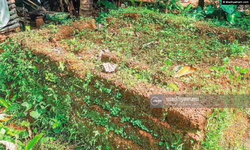 മ​ല​ബാ​ർ സ​മ​രം: കാ​വ​നൂ​രി​നും പ​റ​യാ​നു​ണ്ട് ച​രി​ത്ര​ക​ഥ