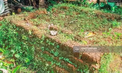 മ​ല​ബാ​ർ സ​മ​രം: കാ​വ​നൂ​രി​നും പ​റ​യാ​നു​ണ്ട് ച​രി​ത്ര​ക​ഥ