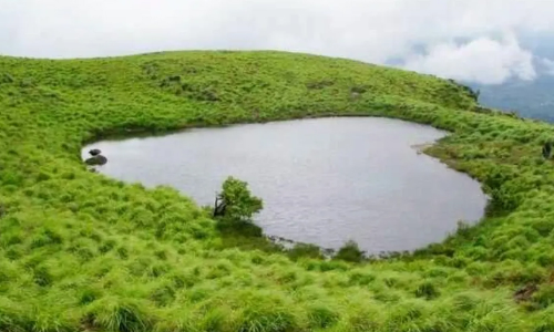 ടൂറിസം മന്ത്രിയും വയനാട്​ കലക്​ടറും അറിയാൻ...ഇവിടെ കുറേ മനുഷ്യർ ജീവിക്കുന്നുണ്ട്​