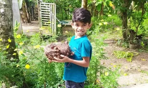 ഫർഹാൻ തിരക്കിലാണ്​; ത​െൻറ പച്ചക്കറിത്തോട്ടത്തിൽ