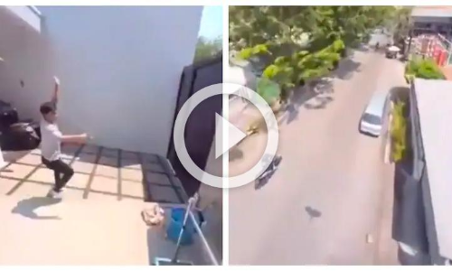 ഡ്രോൺ കാമറ എന്തിന്, ഒരു തത്ത മതി സിനിമ വരെ എടുക്കാം: വൈറലായി വിഡിയോ