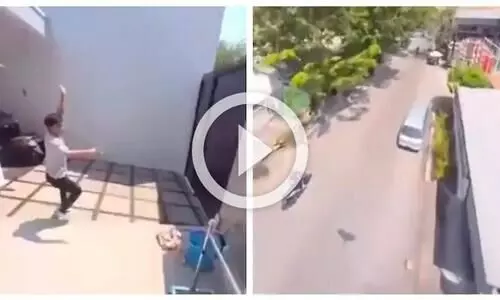 ഡ്രോൺ കാമറ എന്തിന്, ഒരു തത്ത മതി സിനിമ വരെ എടുക്കാം: വൈറലായി വിഡിയോ