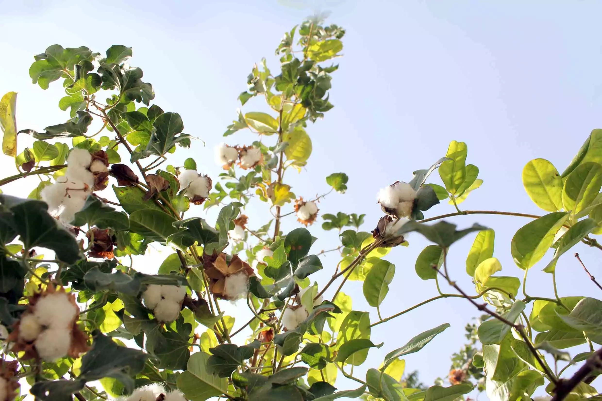 wadi al helo wadi al helo
