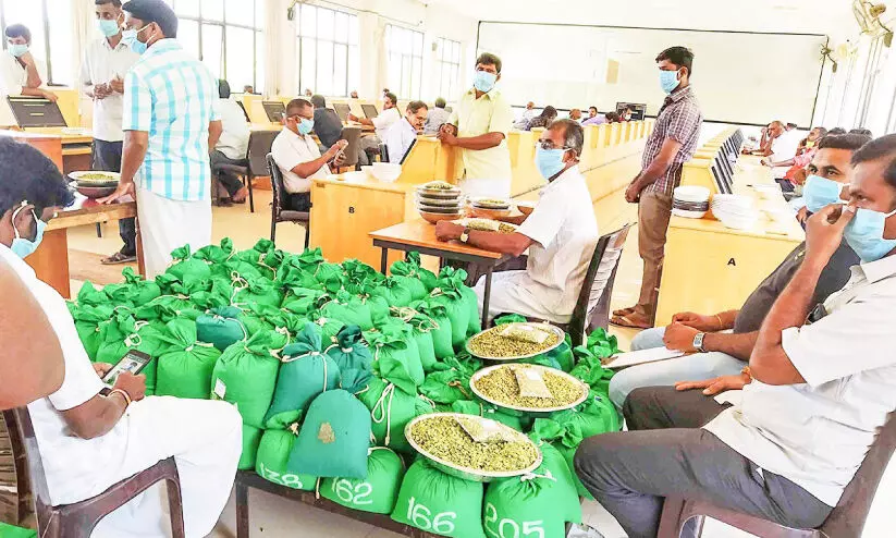 ഏജൻസികൾ തമിഴ്നാട്ടിലേക്ക്; പുറ്റടിയിലെ ഓൺലൈൻ ഏലക്ക ലേലം പ്രതിസന്ധിയിൽ ഏജൻസികൾ തമിഴ്നാട്ടിലേക്ക്; പുറ്റടിയിലെ ഓൺലൈൻ ഏലക്ക ലേലം പ്രതിസന്ധിയിൽ