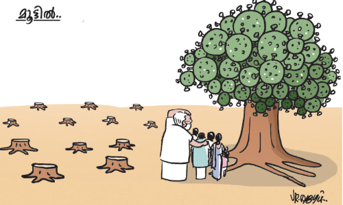 വമ്പന്മാർ ഒളിഞ്ഞിരിക്കുന്നത്​ റവന്യൂവകുപ്പിലും; ക​ടും​വെ​ട്ട്​ ന​ട​ന്നി​ട്ടും ശ്ര​മം ന​ട​ക്കു​ന്ന​ത്​ കേ​സ്​ അ​ട്ടി​മ​റി​ക്കാ​ൻ