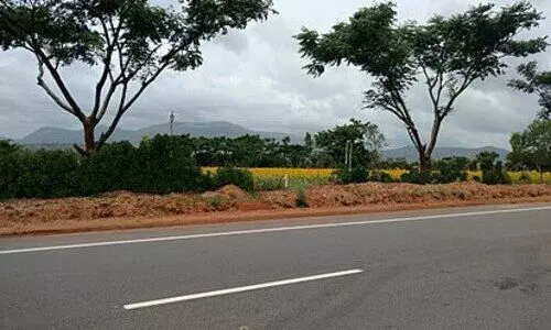 രാ​ത്രി​യാ​ത്ര നി​രോ​ധ​നം: ബ​ദ​ൽ​പാ​ത​യി​ൽ​നി​ന്ന് ദേ​ശീ​യ​പാ​ത അ​തോ​റി​റ്റി പി​ൻ​വാ​ങ്ങ​ണം –ആ​ക്​​ഷ​ൻ ക​മ്മി​റ്റി