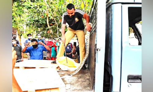 പാമ്പിനെ പിടികൂടണോ, ഇവരെ വിളിക്കാം; കോട്ടയം  ജില്ലയിൽ ശാസ്​ത്രീയ പരിശീലനം നേടിയവർ​ 42