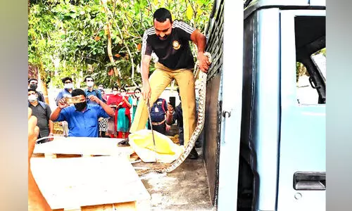 പാമ്പിനെ പിടികൂടണോ, ഇവരെ വിളിക്കാം; കോട്ടയം  ജില്ലയിൽ ശാസ്​ത്രീയ പരിശീലനം നേടിയവർ​ 42