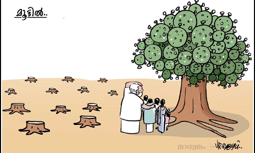 മൂട്ടിൽ