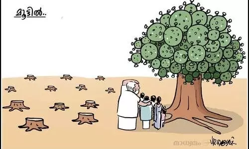 മൂട്ടിൽ