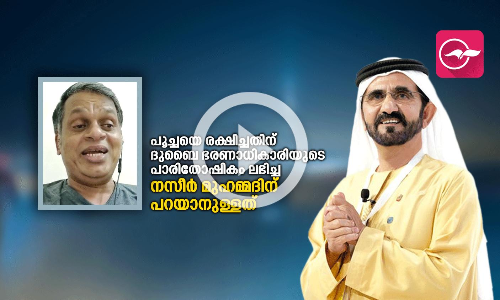 പൂച്ചയെ രക്ഷിച്ചതിന്​ ദുബൈ ഭരണാധികാരിയുടെ പത്ത്​ ലക്ഷം രൂപ ലഭിച്ച നസീർ മുഹമ്മദിന് പറയാനുള്ളത്‌