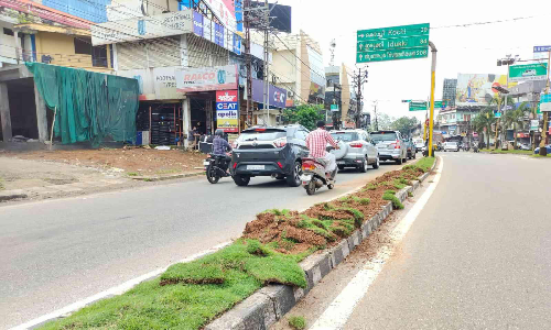 മീഡിയനുകളിൽ നട്ടുപിടിപ്പിച്ച പുൽത്തകിടി കാർ കയറ്റി നശിപ്പിച്ചു