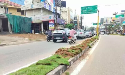 മീഡിയനുകളിൽ നട്ടുപിടിപ്പിച്ച പുൽത്തകിടി കാർ കയറ്റി നശിപ്പിച്ചു