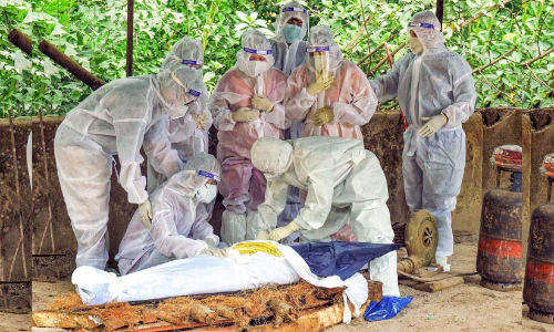 കോ​വി​ഡ്: ര​ക്ഷി​താ​ക്ക​ളി​ലൊ​രാ​ൾ ന​ഷ്​​ട​മാ​യ​വ​ർ​ക്ക്​ സ​ഹാ​യം