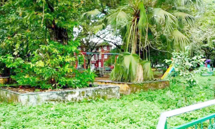 കുട്ടികളുടെ പാർക്കിൽ വീണ്ടും പാമ്പ്; കുടുംബങ്ങൾ ഭയന്നോടി