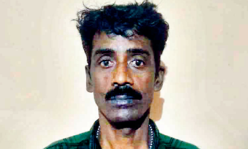 ച​ന്ദ​നം മു​റി​ച്ചു​ക​ട​ത്തി​യ കേ​സി​ലെ മു​ഖ്യ​പ്ര​തി പി​ടി​യി​ൽ