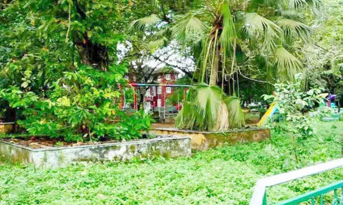 കുട്ടികളുടെ പാർക്കിൽ വീണ്ടും പാമ്പ്; കുടുംബങ്ങൾ ഭയന്നോടി കുട്ടികളുടെ പാർക്കിൽ വീണ്ടും പാമ്പ്; കുടുംബങ്ങൾ ഭയന്നോടി