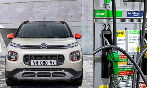 Ethanol pumps to be set up in 6 months: Transport Minister