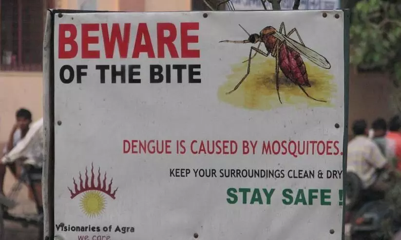 Dengue Fever Dengue Fever