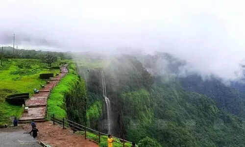 amboli