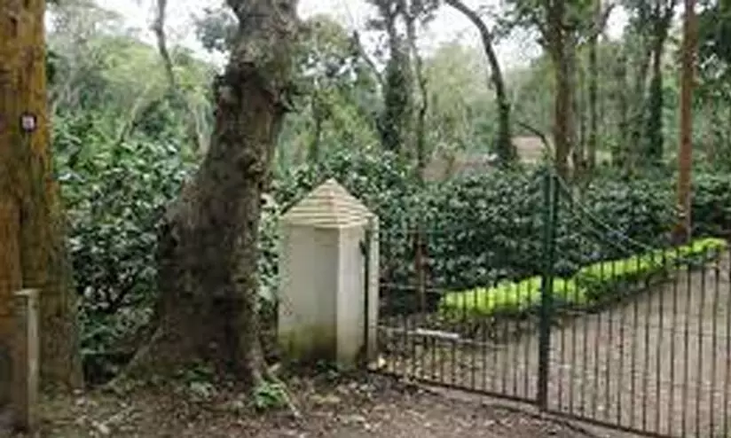 ആലത്തൂർ എസ്​റ്റേറ്റ്: നടപടി വൈകിപ്പിക്കുന്നതിനെതിരെ എ.ജി