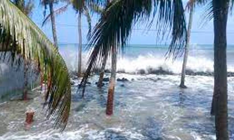 ചെല്ലാനം തീരസംരക്ഷണത്തിന് 344 കോടി ചെല്ലാനം തീരസംരക്ഷണത്തിന് 344 കോടി