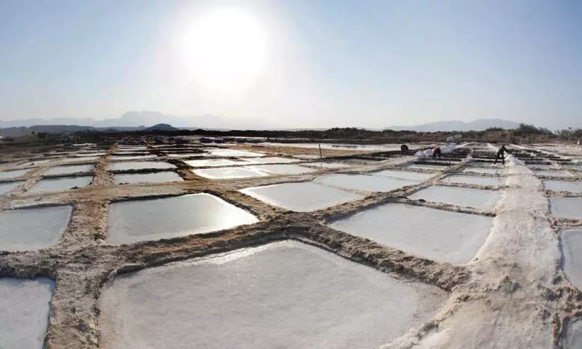 പഴമയുടെ പെരുമയുമായി ഖുറിയാത്തിലെ ഈ ഉപ്പളം പഴമയുടെ പെരുമയുമായി ഖുറിയാത്തിലെ ഈ ഉപ്പളം